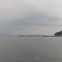 夏のタチウオ狙い